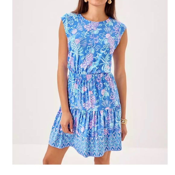 Lilly Pulitzer Dresses & Skirts - NWT Lilly Pulitzer Danville Dress size small